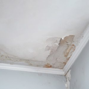 كشف الشروخ والتصدعات في المباني